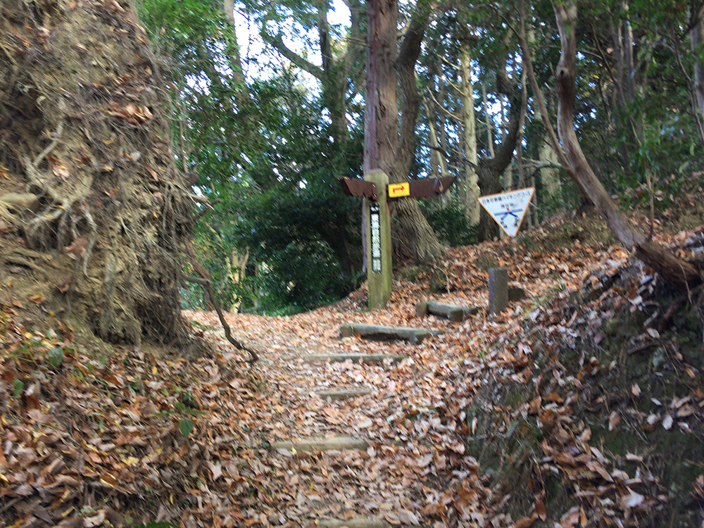 日本平ハイキングコース-落ち葉の道