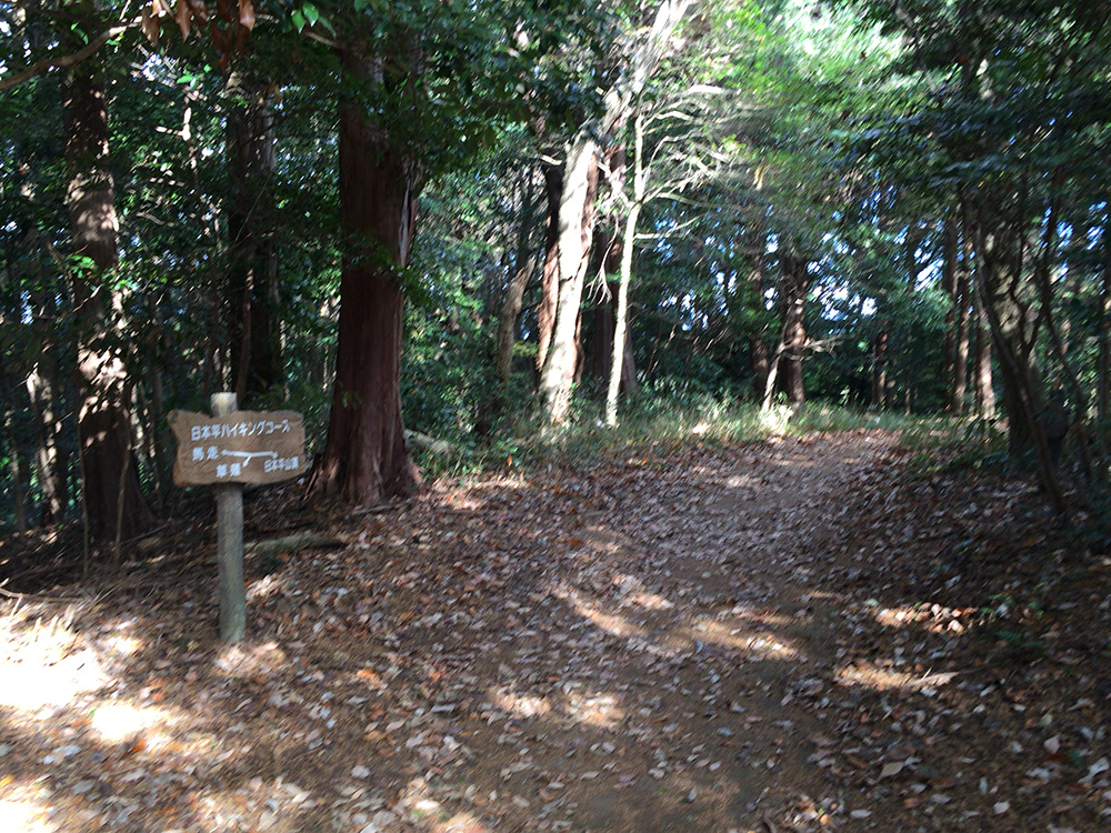 日本平ハイキングコース-落ち葉の道