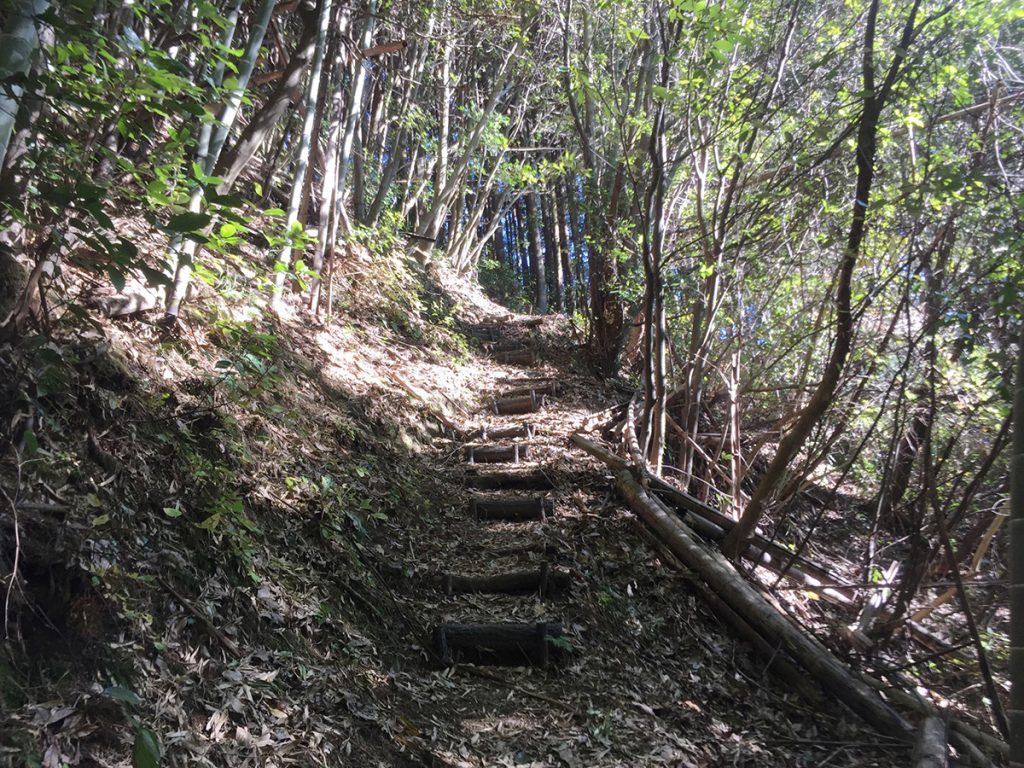 石谷山ハイキングコース 森林浴を愉しめる道